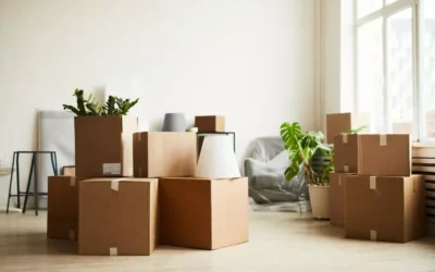 Mudanças no Jardim Botânico: os principais erros que moradores cometem e como evitar